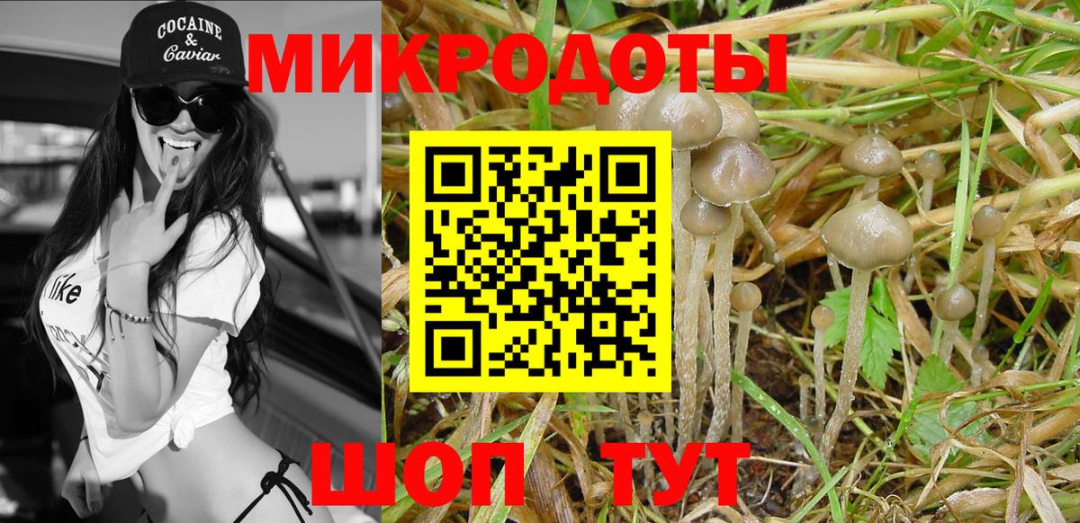 Галлюциногенные грибы прущие грибы  Вход с VPN  где продают   Камышлов 