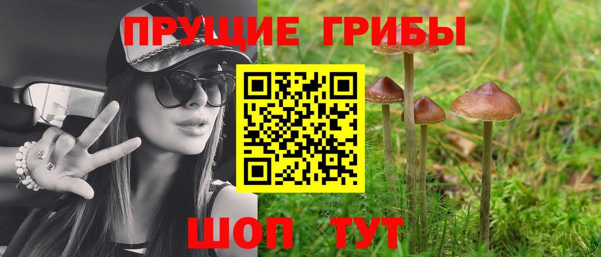 Галлюциногенные грибы мицелий Камышлов